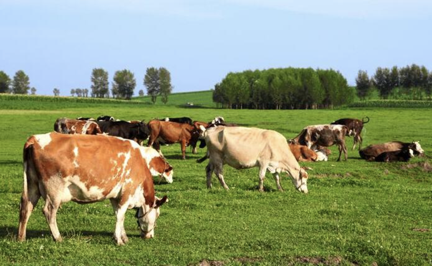 73332AA8-D4AA-494C-B699-57A4559078B9